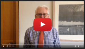 Normal Lamb MP video