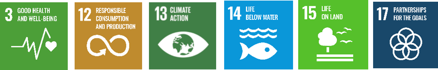 thumbnail images for UN sustainable development goals
