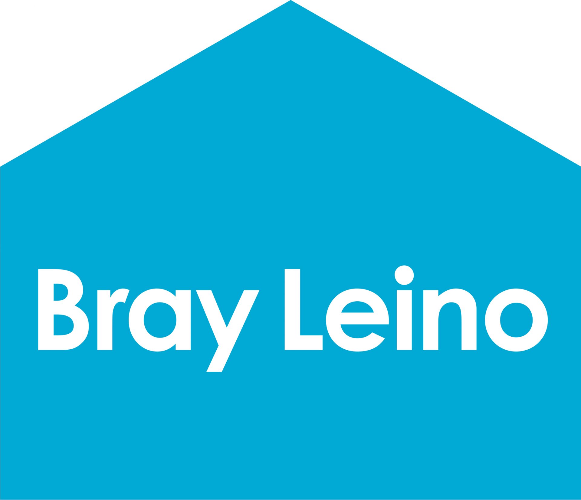 Bray Leino